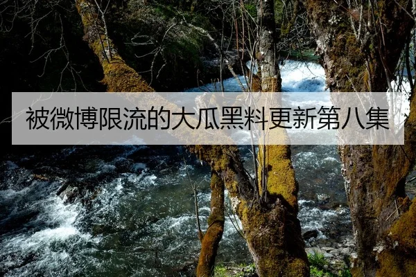 被微博限流的大瓜黑料更新第八集