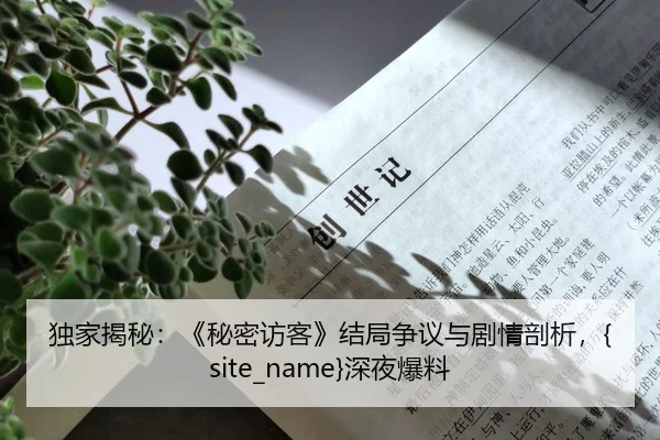 独家揭秘：《秘密访客》结局争议与剧情剖析，吃瓜网站深夜爆料